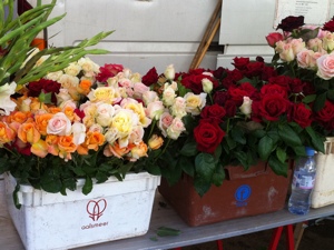 20120911-103449 PM.jpg